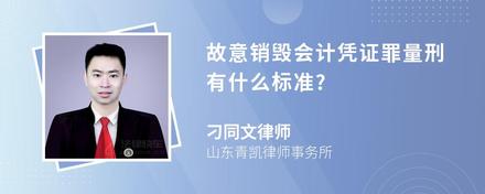 故意销毁会计凭证罪量刑有什么标准?