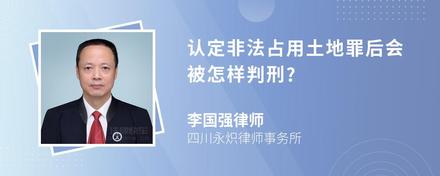 认定非法占用土地罪后会被怎样判刑?