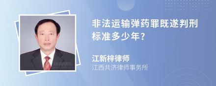 非法运输弹药罪既遂判刑标准多少年?