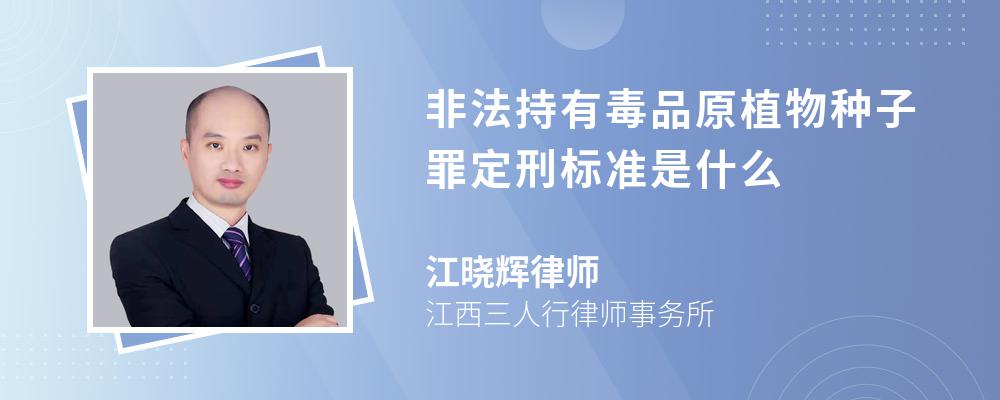 非法持有毒品原植物种子罪定刑标准是什么