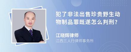 犯了非法出售珍贵野生动物制品罪既遂怎么判刑?