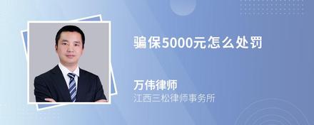 骗保5000元怎么处罚