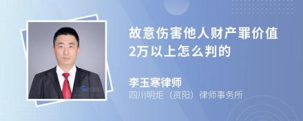 故意伤害他人财产罪价值2万以上怎么判的