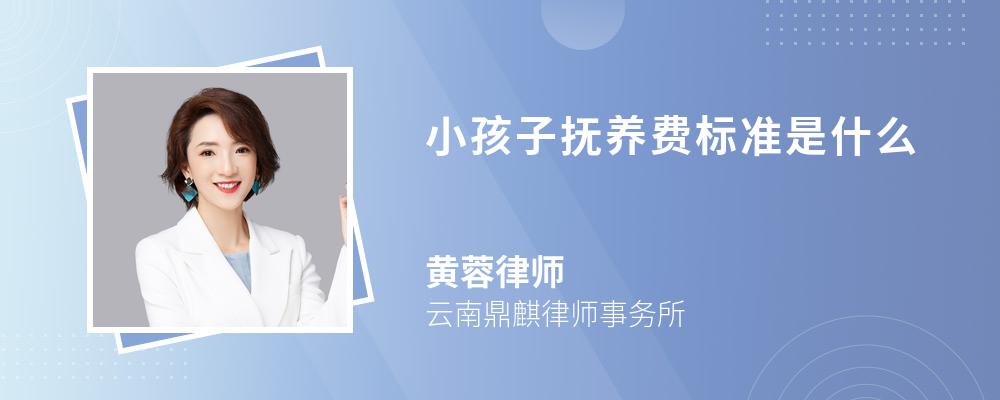 小孩子抚养费标准是什么