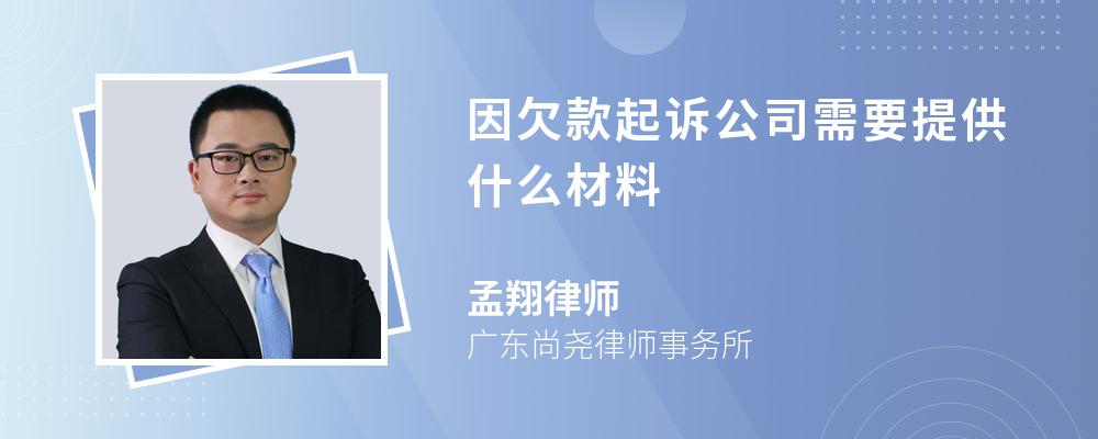 因欠款起诉公司需要提供什么材料