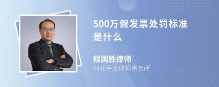 500万假发票处罚标准是什么