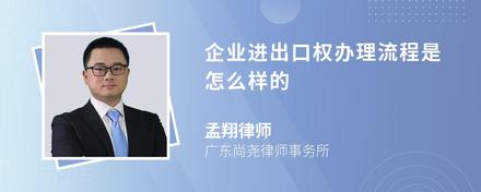 企业进出口权办理流程是怎么样的
