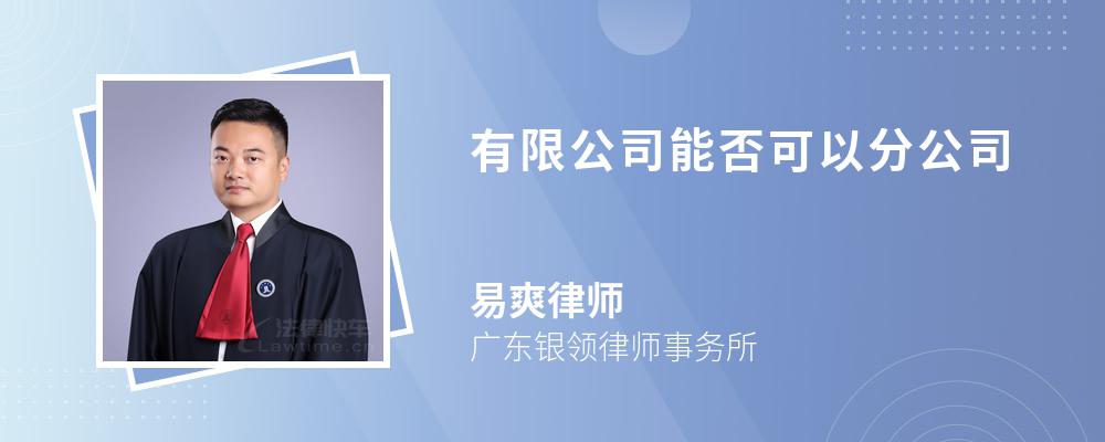 有限公司能否可以分公司