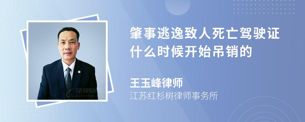 肇事逃逸致人死亡驾驶证什么时候开始吊销的