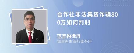 合作社非法集资诈骗800万如何判刑