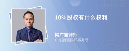 10%股权有什么权利