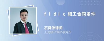 fidic施工合同条件