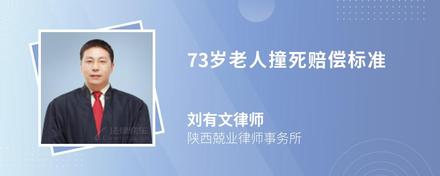 73岁老人撞死赔偿标准